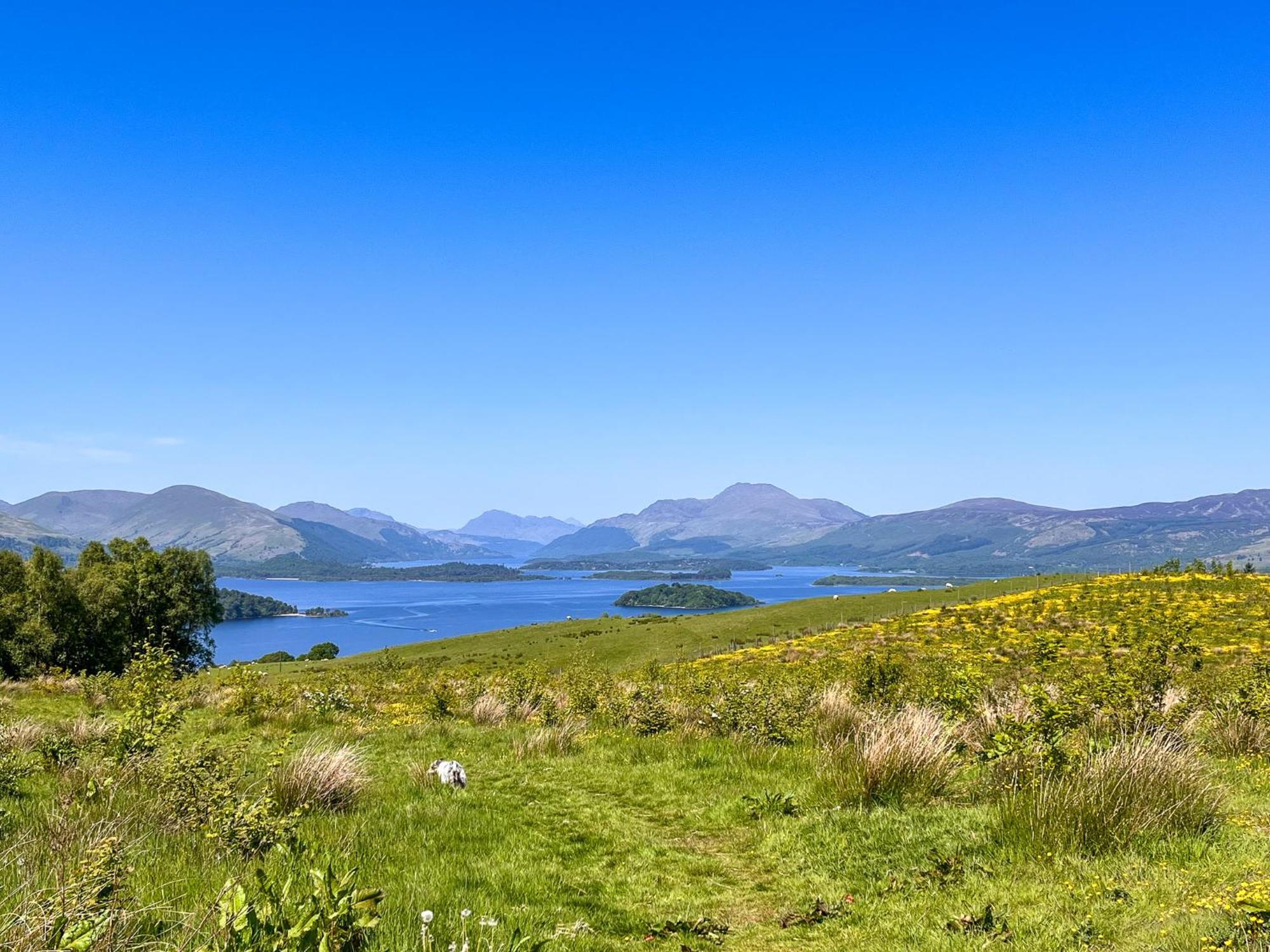 Stable Cottage, Gartocharn, Loch Lomond Alexandria Exterior foto